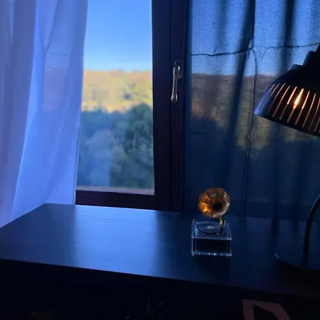 Valley View * 사사리